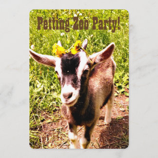 Petting Zoo Party! Passen Sie diese Einladung an.