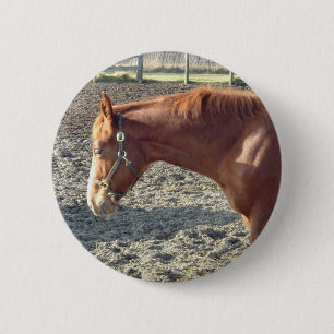 Petty Chestnut Horse Button