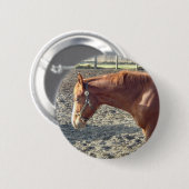 Petty Chestnut Horse Button (Vorne & Hinten)