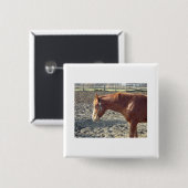 Petty Chestnut Horse Button (Vorne & Hinten)
