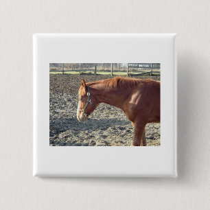 Petty Chestnut Horse Button