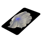 Petunai Blue Glow Premium Magnet (Linke Seite)