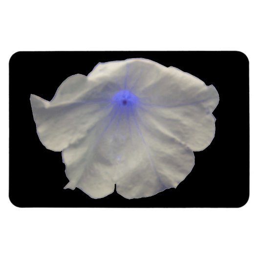 Petunai Blue Glow Premium Magnet (Horizontal)