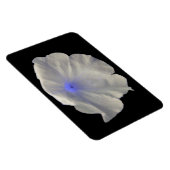Petunai Blue Glow Premium Magnet (Rechte Seite)