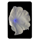 Petunai Blue Glow Premium Magnet (Vertikal)