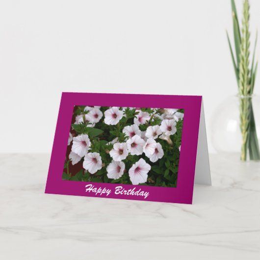 Petunia Birthday Greeting Karte (Vorderseite)