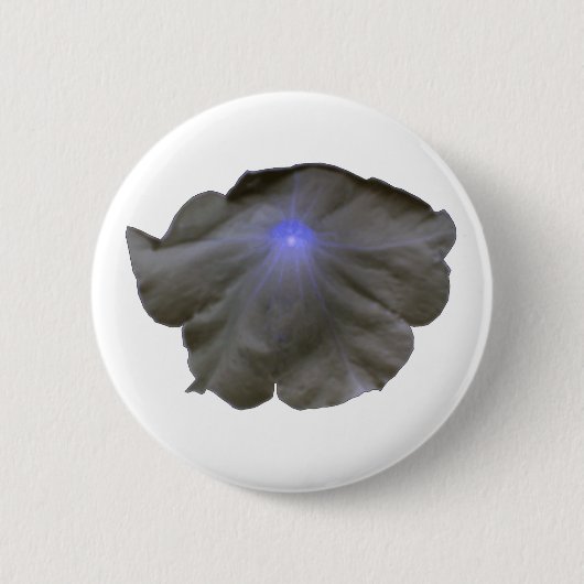 Petunia Black and Blue Button (Vorderseite)