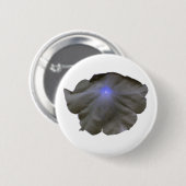 Petunia Black and Blue Button (Vorne & Hinten)