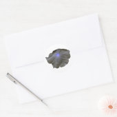Petunia Black and Blue Stickers (Umschlag)