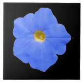 Petunia Blau und Gelbe Tile Fliese (Vorderseite)