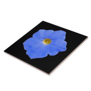 Petunia Blau und Gelbe Tile Fliese