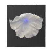 Petunia Blue Glow Notepad Notizblock (Vorderseite)