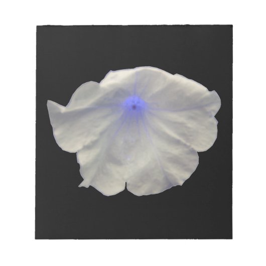 Petunia Blue Glow Notepad Notizblock (Vorderseite)