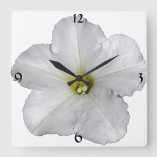 Petunia Blume Blumenbeete Weihnachtsdekor Weiß Co Quadratische Wanduhr