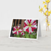 Petunia Blume Karte (Gelbe Blume)
