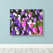 Petunia-Blume-Patch Leinwanddruck (Insitu (Holzboden))