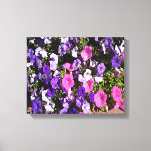 Petunia-Blume-Patch Leinwanddruck