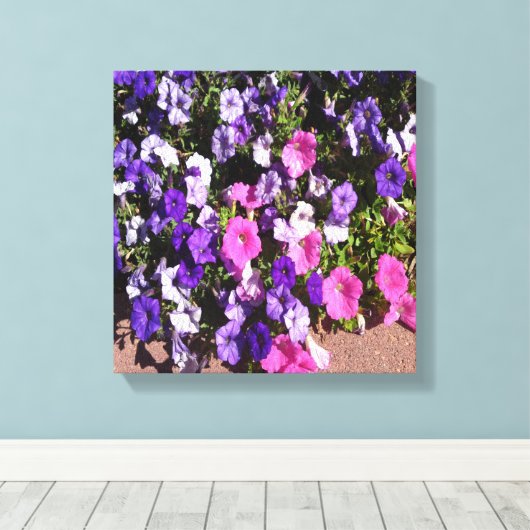 Petunia-Blume-Patch Leinwanddruck (Insitu (Holzboden))