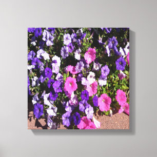 Petunia-Blume-Patch Leinwanddruck