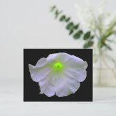 Petunia Bright Green Postcard Postkarte (Stehend Vorderseite)