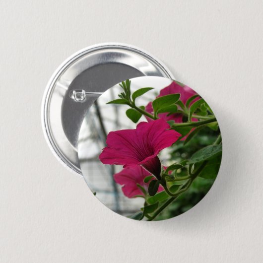 Petunia Button (Vorne & Hinten)