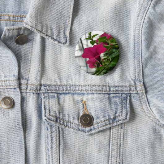 Petunia Button (Beispiel)