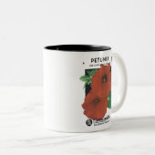 Petunia Feuerwehrleiter Zwergpflanzenfutter, F. La Zweifarbige Tasse (VorderseiteRechts)