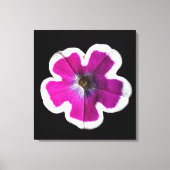 Petunia Fotograf Leinwanddruck (Vorderseite)
