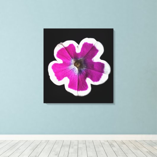 Petunia Fotograf Leinwanddruck (Insitu (Holzboden))