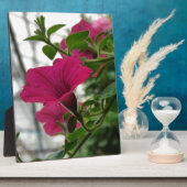 Petunia Fotoplatte (Seite)
