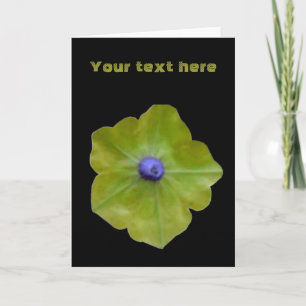 Petunia Green and Blue Custom Greeting Card Karte