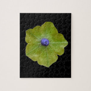 Petunia Green and Blue Puzzle