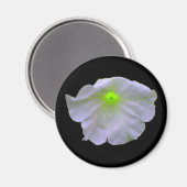 Petunia Green Glow Magnet (Vorderseite/Rückseite)