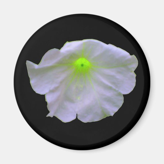 Petunia Green Glow Magnet (Vorne)