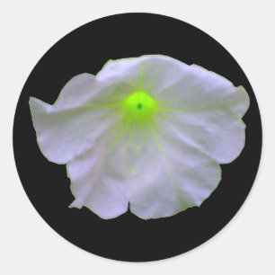 Petunia Green Glow Stickers