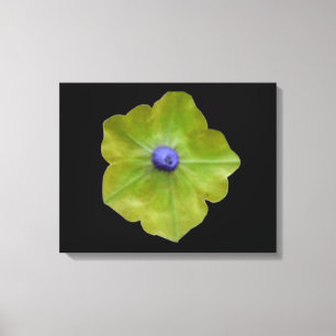 Petunia Green und Blue Canvas Print Leinwanddruck