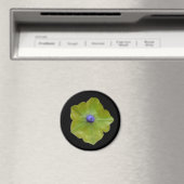 Petunia Green und Blue Magnet (In Situ (Geschirrspüler))
