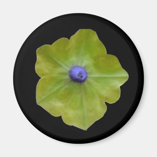 Petunia Green und Blue Magnet (Vorne)