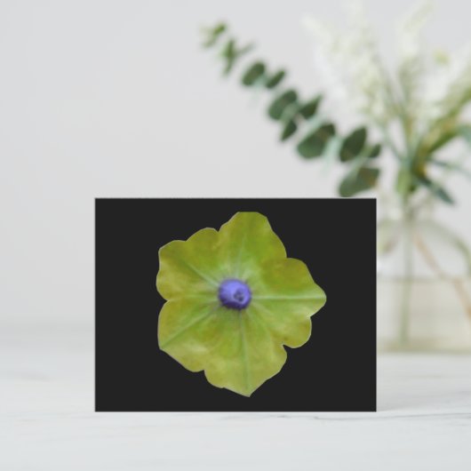 Petunia Green und Blue Postcard Postkarte (Stehend Vorderseite)