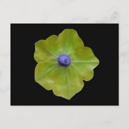 Petunia Green und Blue Postcard Postkarte (Vorderseite)