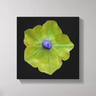 Petunia Grün und Blau Canvas Druck Leinwanddruck