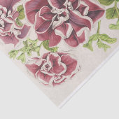 Pétunia Inimitabilis (Hybride), Flore Pleno Seidenpapier (Ausschnitt)