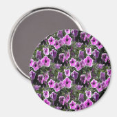 Petunia Land... Magnet (Vorderseite/Rückseite)