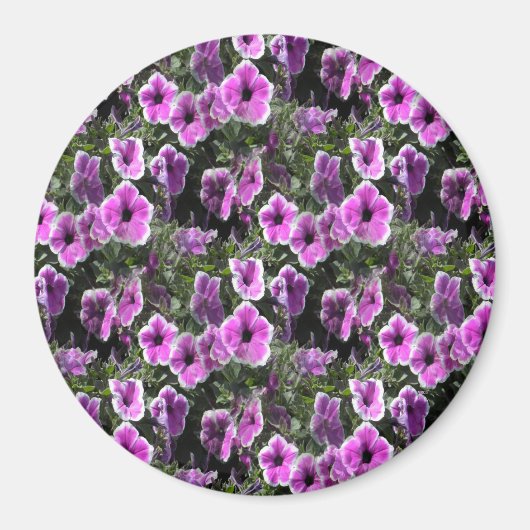 Petunia Land... Magnet (Vorne)