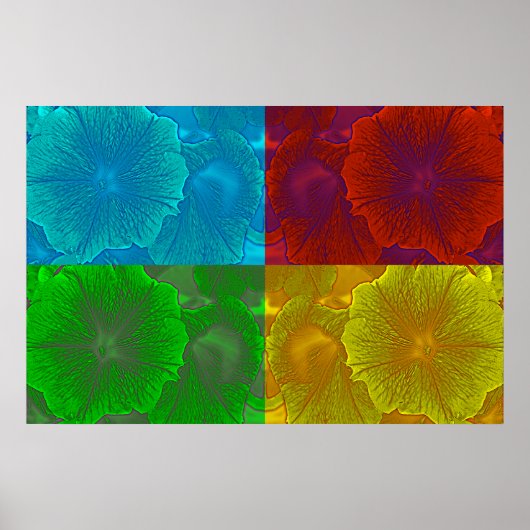 Petunia Pop Poster (Vorne)