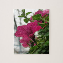 Petunia Puzzle