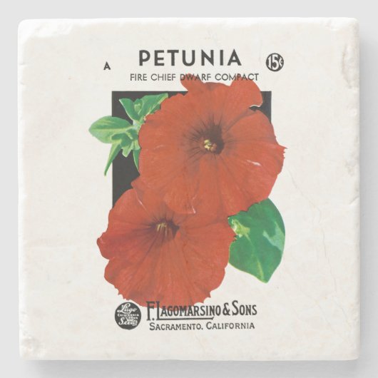 Petunia Steinuntersetzer (Vorderseite)