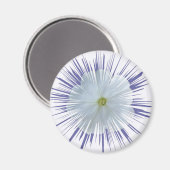 Petunia-Sternexplosion Magnet (Vorderseite/Rückseite)