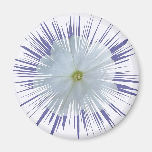 Petunia-Sternexplosion Magnet (Vorne)