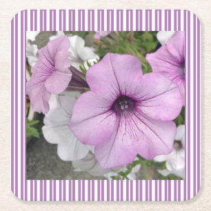 Petunia Striped Paper Untersetzer